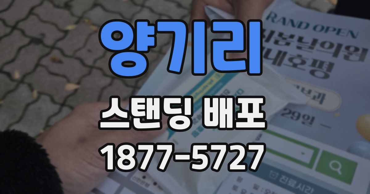 양기리 스탠딩 배포