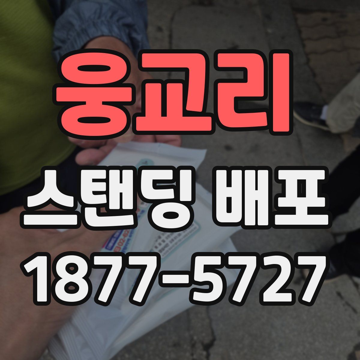 웅교리 스탠딩 배포