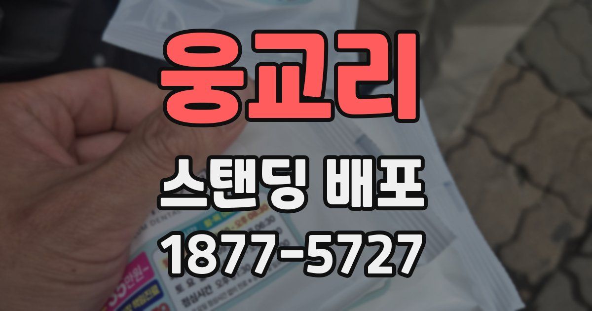 웅교리 스탠딩 배포