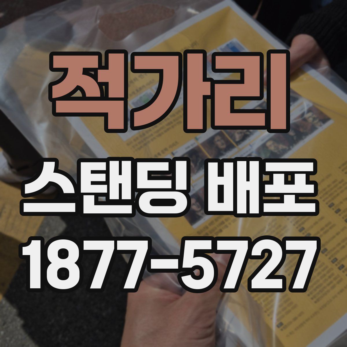 적가리 스탠딩 배포