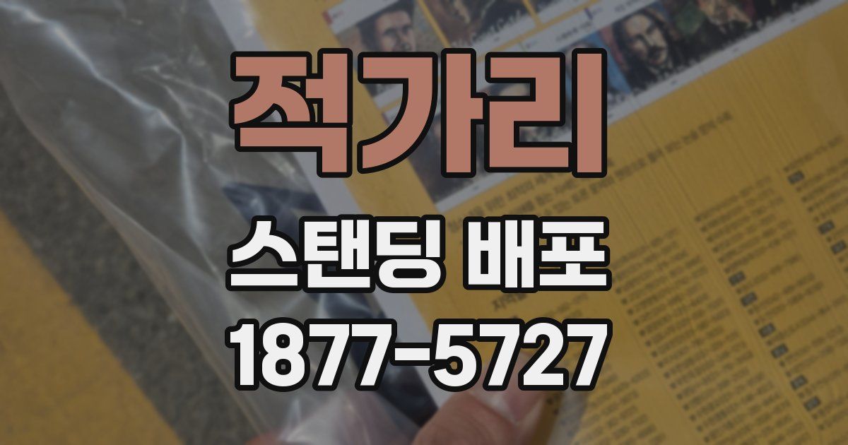 적가리 스탠딩 배포