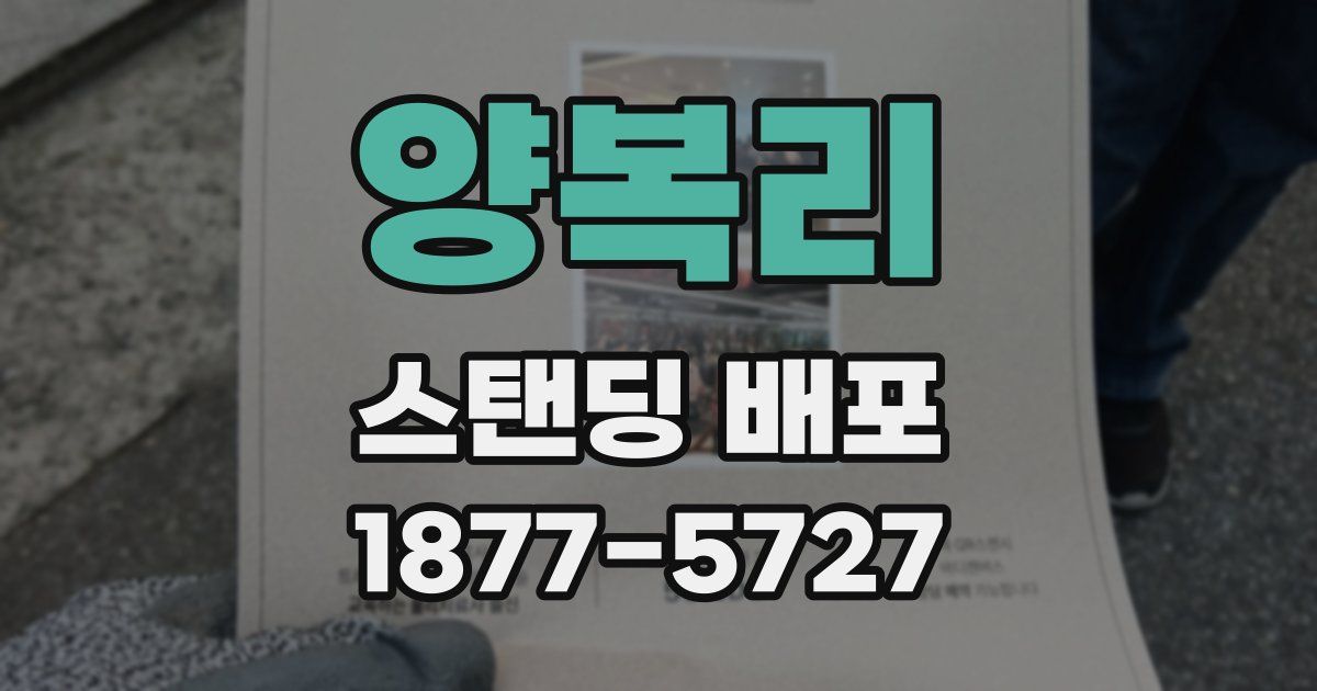 양복리 스탠딩 배포