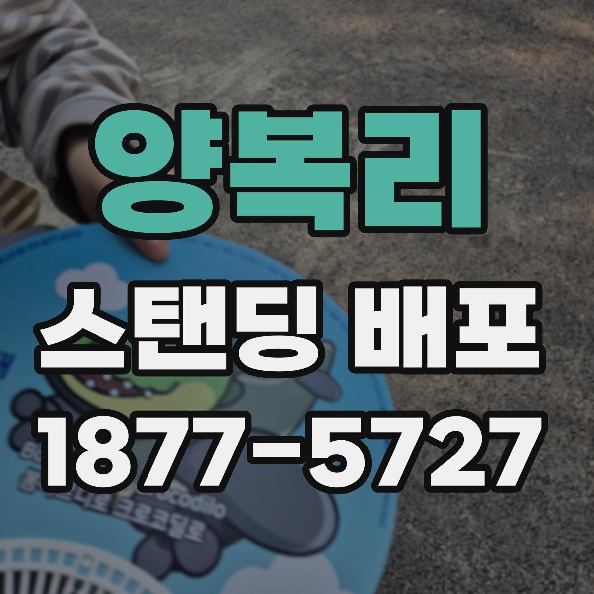 양복리 스탠딩 배포