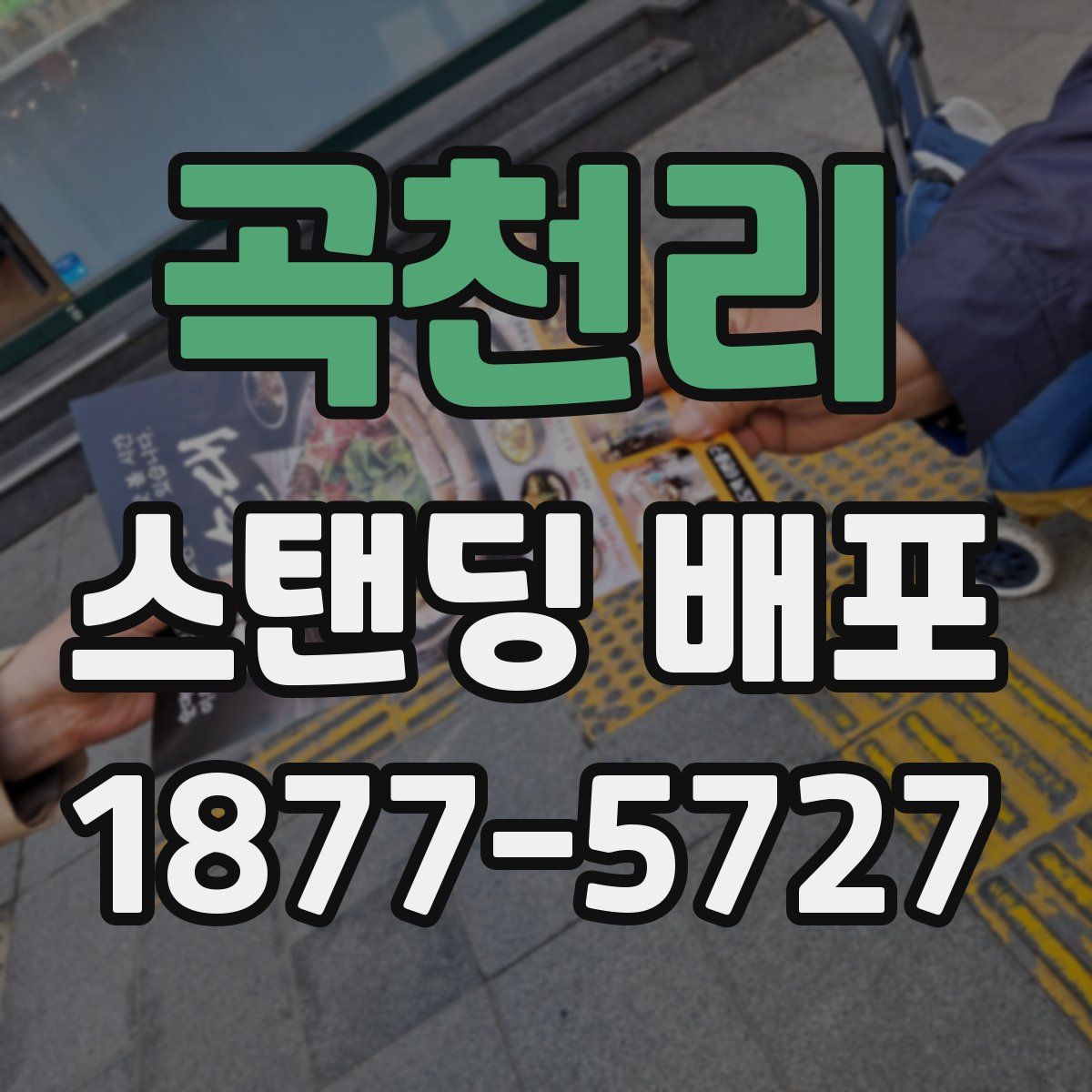 곡천리 스탠딩 배포
