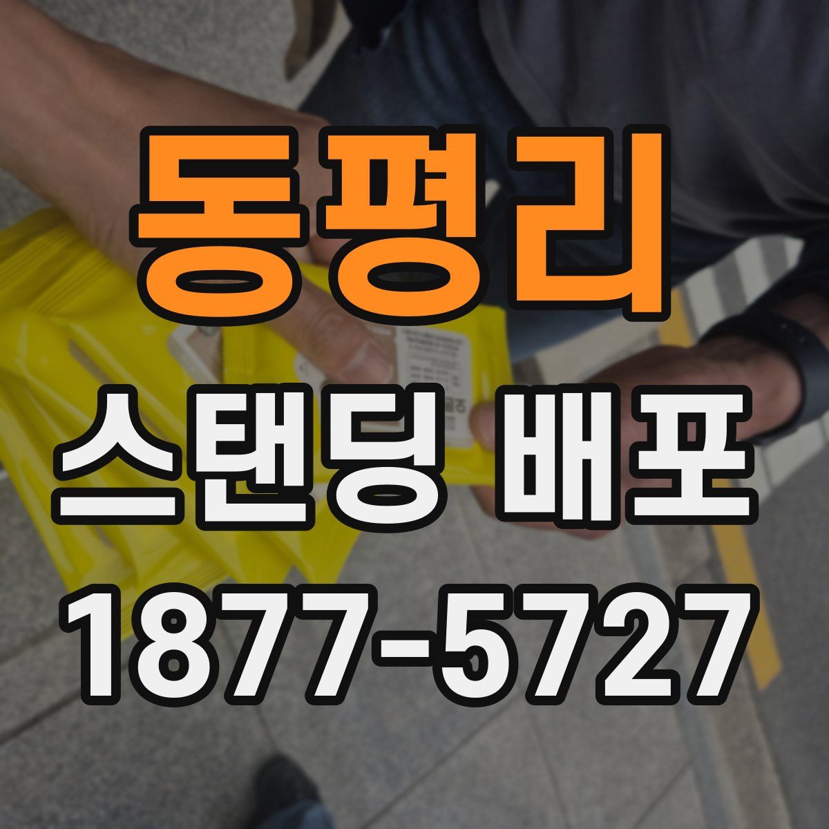 동평리 스탠딩 배포