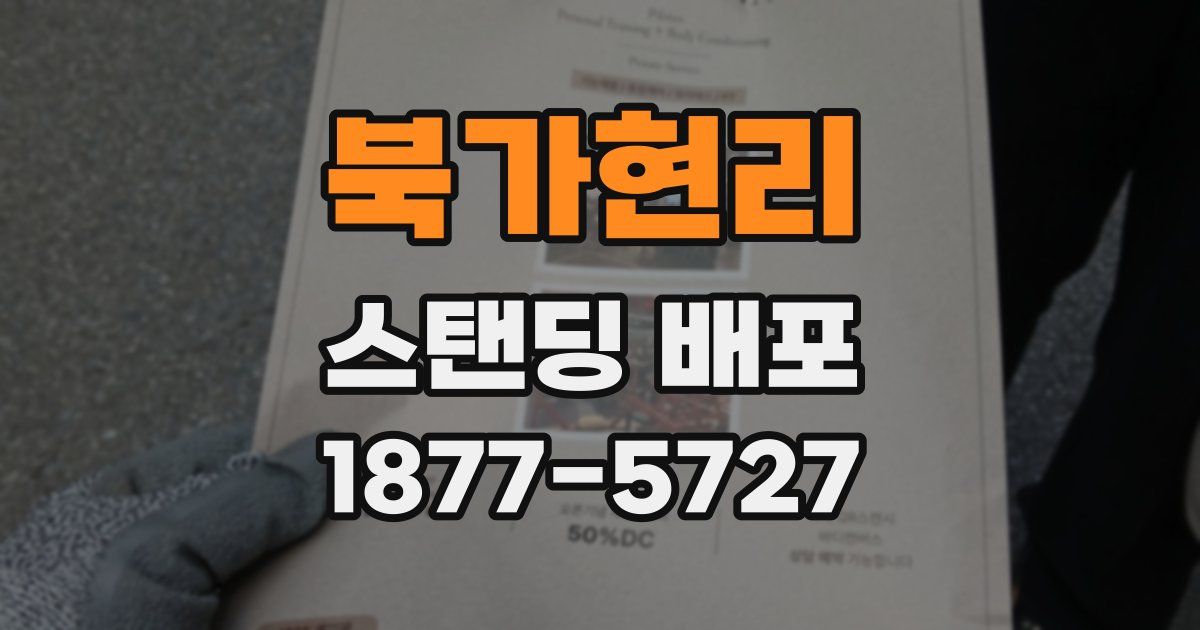 북가현리 스탠딩 배포