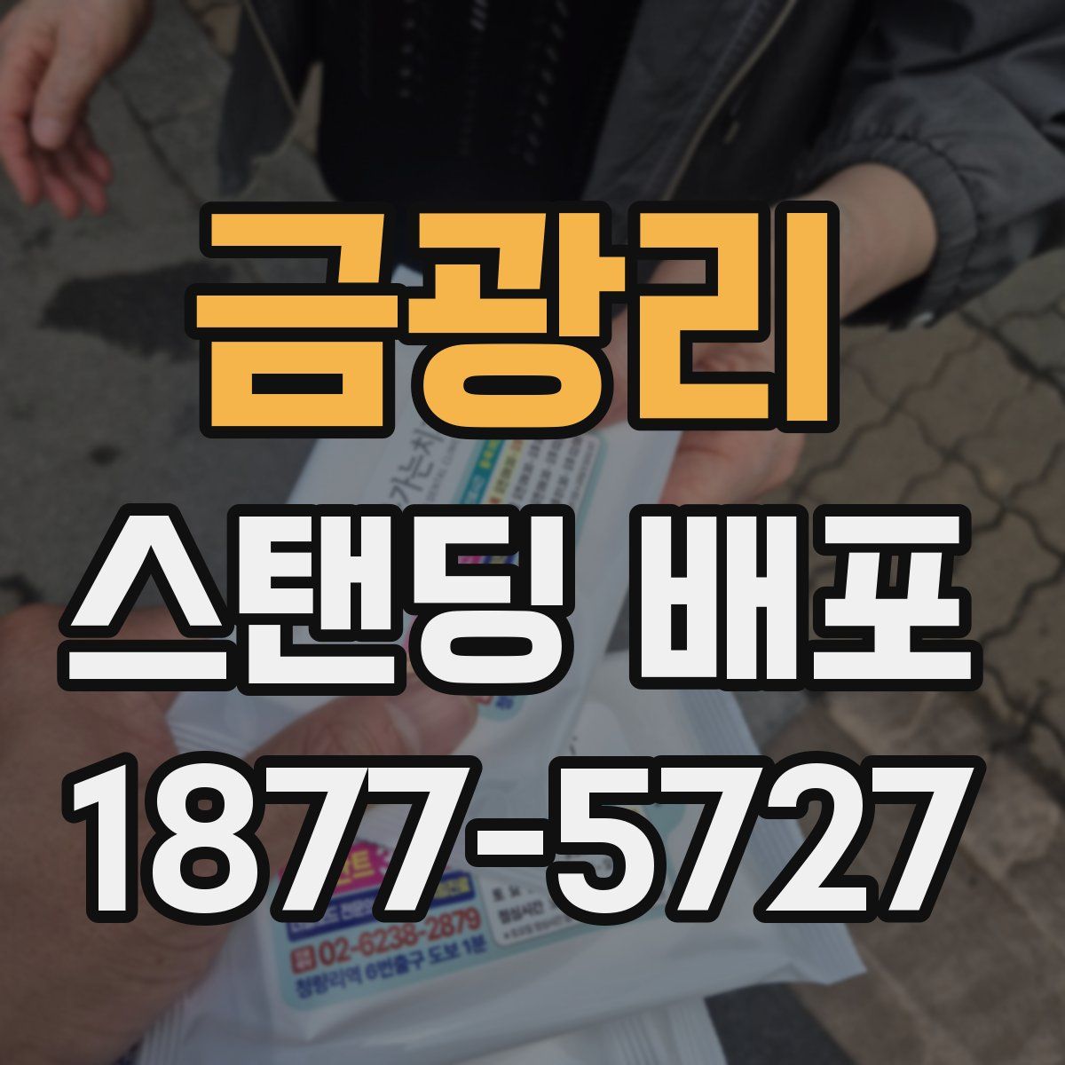 금광리 스탠딩 배포