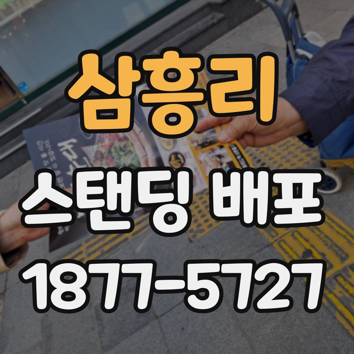 삼흥리 스탠딩 배포