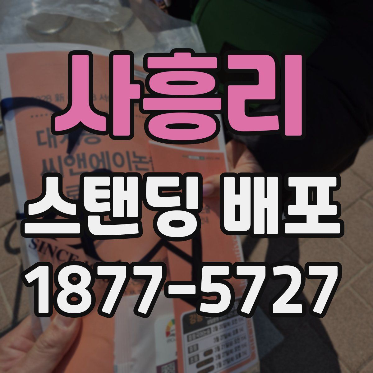 사흥리 스탠딩 배포