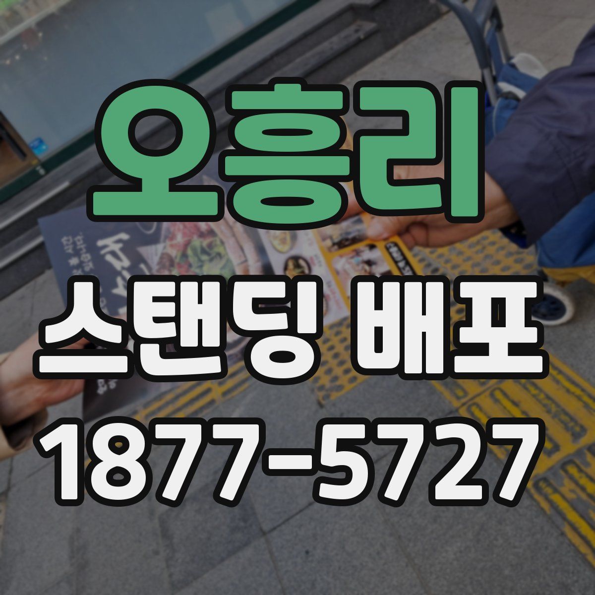 오흥리 스탠딩 배포