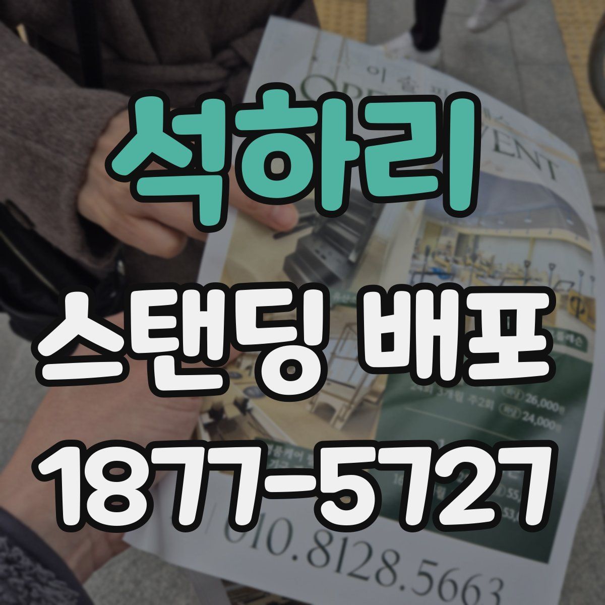 석하리 스탠딩 배포