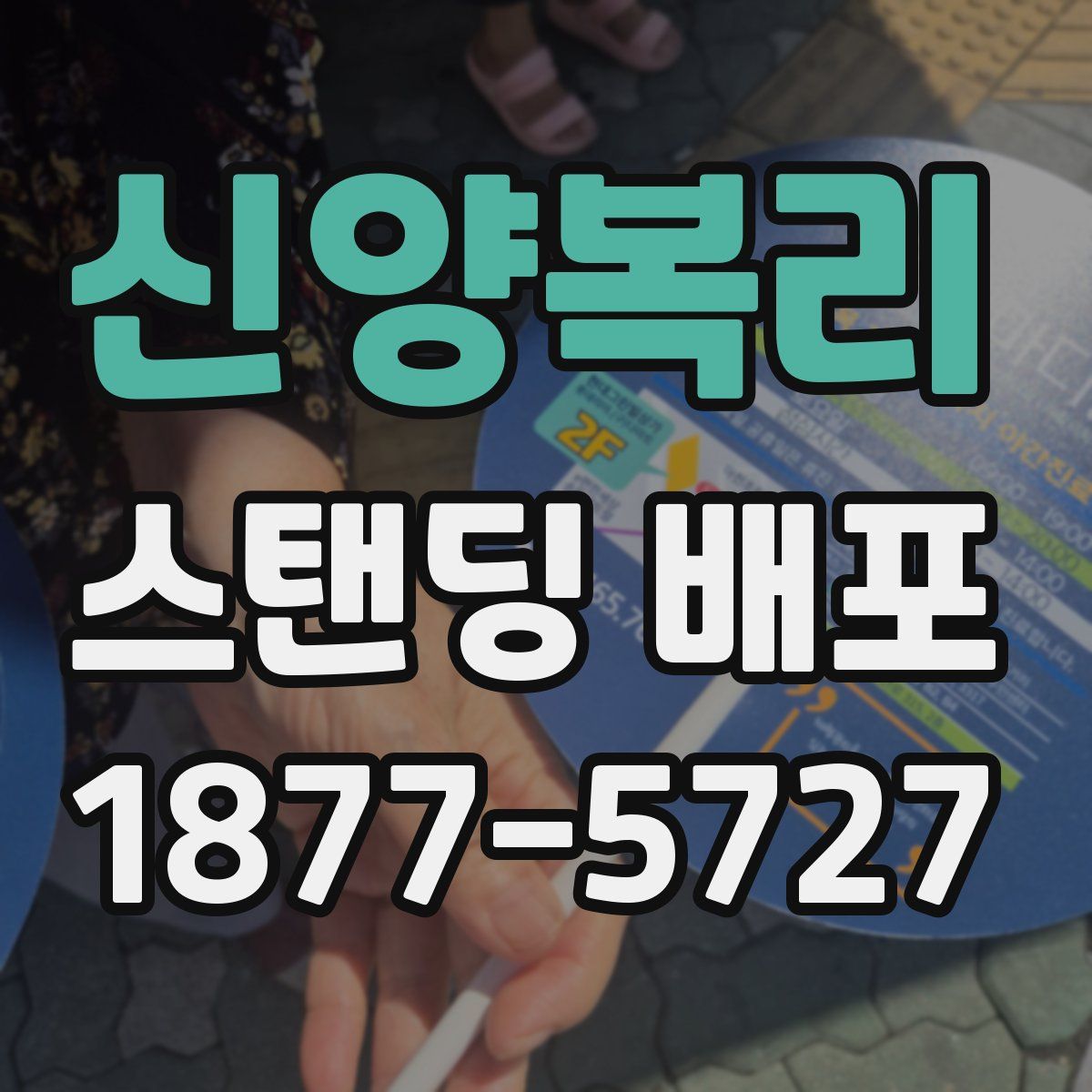 신양복리 스탠딩 배포
