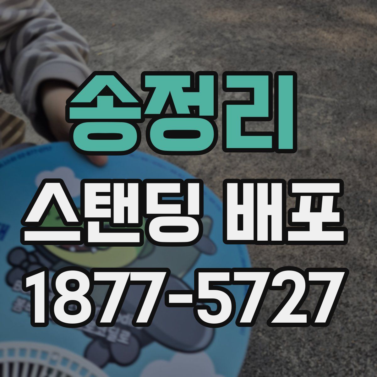 송정리 스탠딩 배포