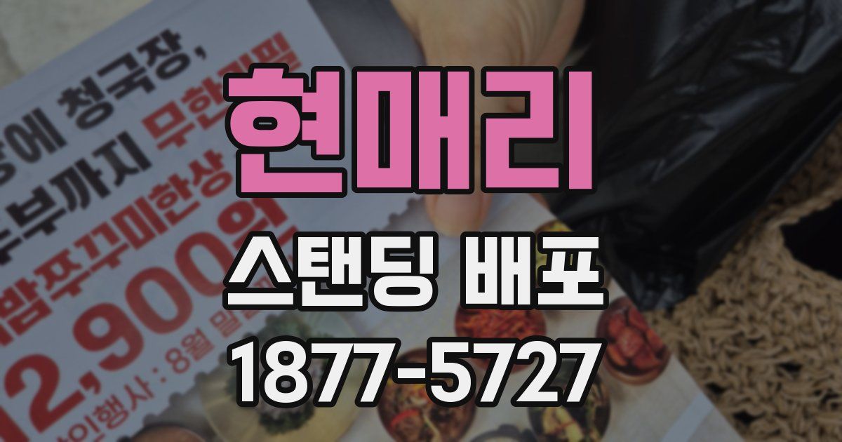 현매리 스탠딩 배포