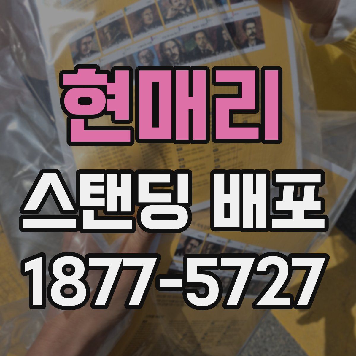 현매리 스탠딩 배포