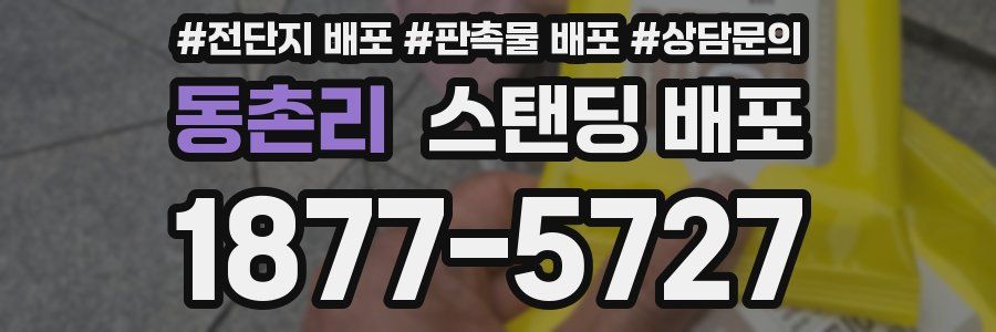 동촌리 스탠딩 배포