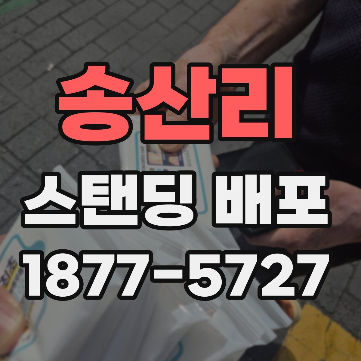 송산리 스탠딩 배포