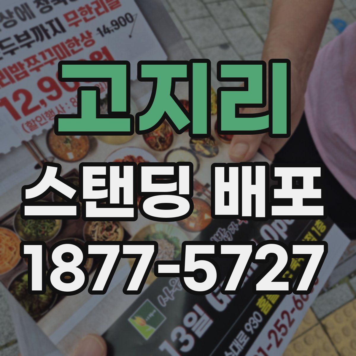 고지리 스탠딩 배포