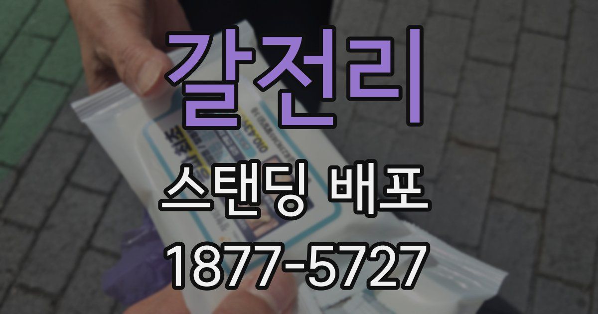 갈전리 스탠딩 배포
