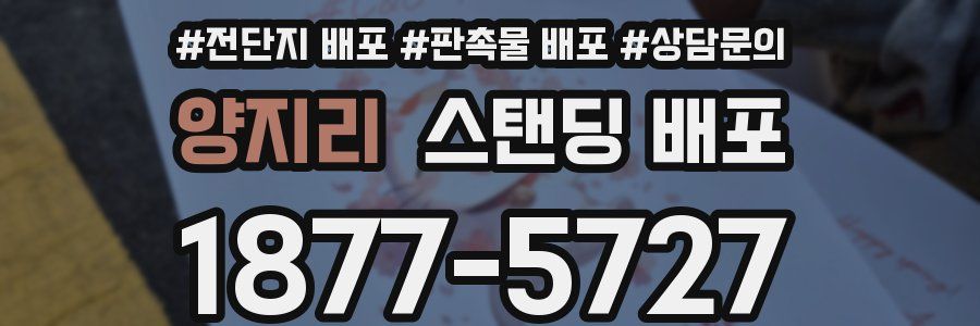 양지리 스탠딩 배포