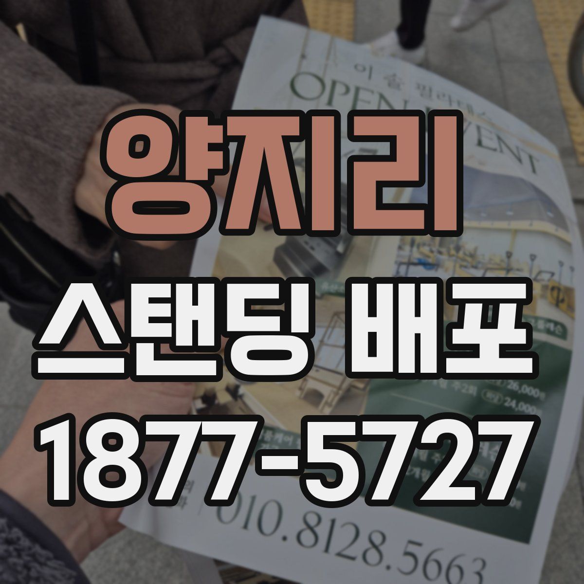 양지리 스탠딩 배포
