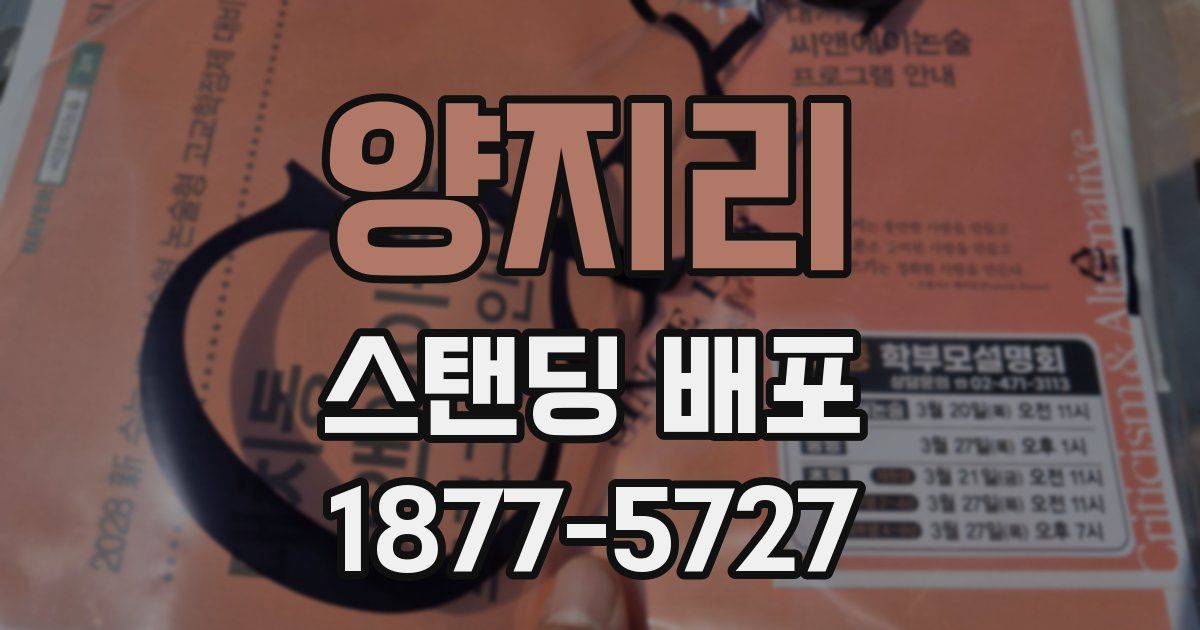 양지리 스탠딩 배포