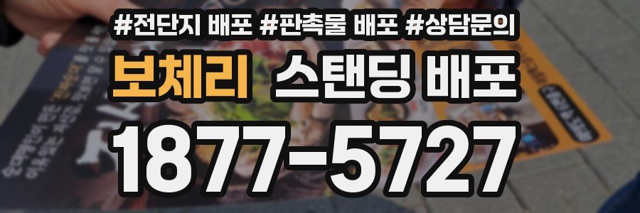 보체리 스탠딩 배포