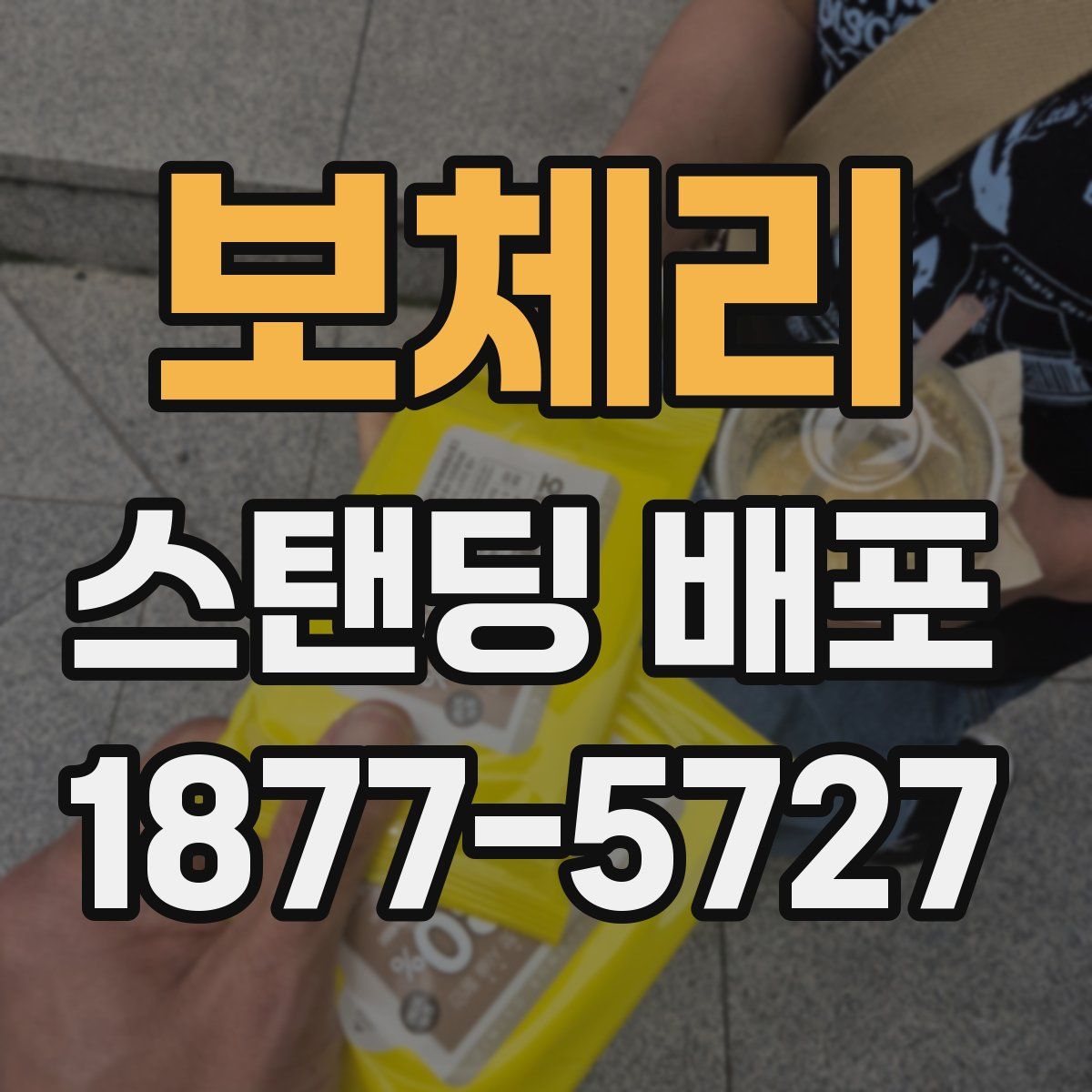보체리 스탠딩 배포