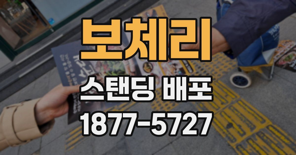 보체리 스탠딩 배포