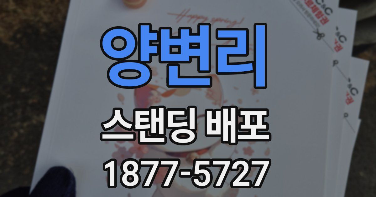 양변리 스탠딩 배포