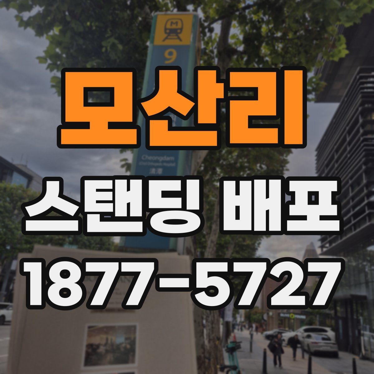 모산리 스탠딩 배포