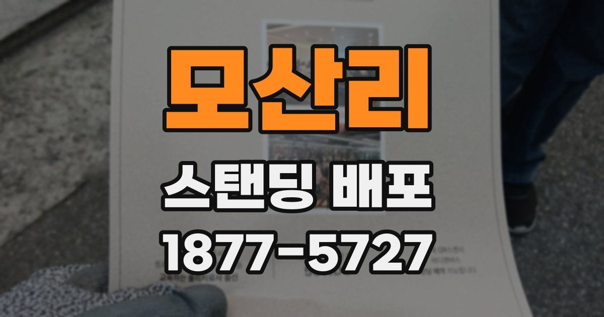 모산리 스탠딩 배포