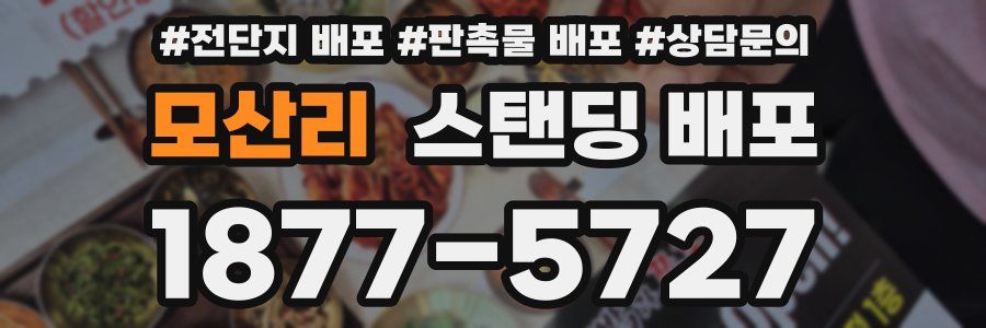 모산리 스탠딩 배포