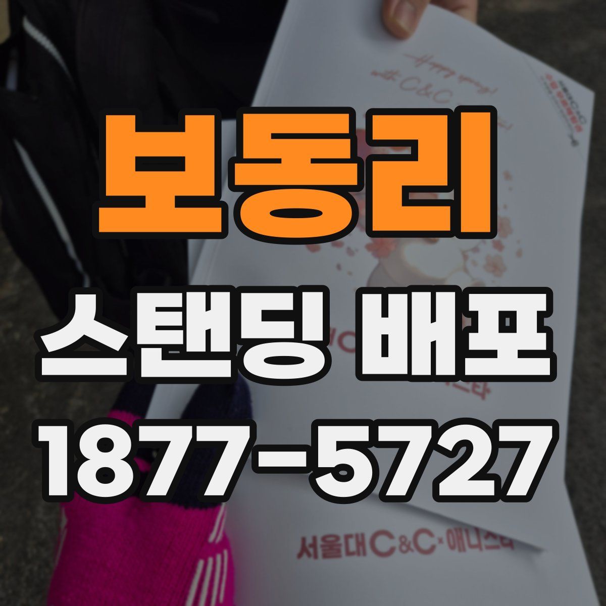 보동리 스탠딩 배포
