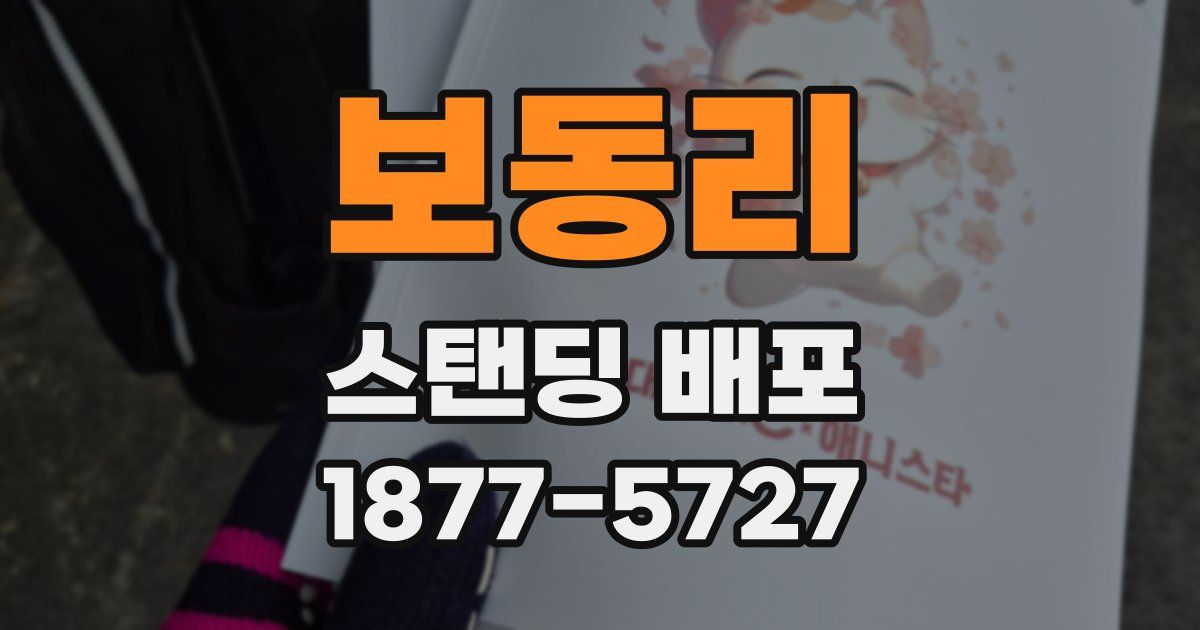 보동리 스탠딩 배포
