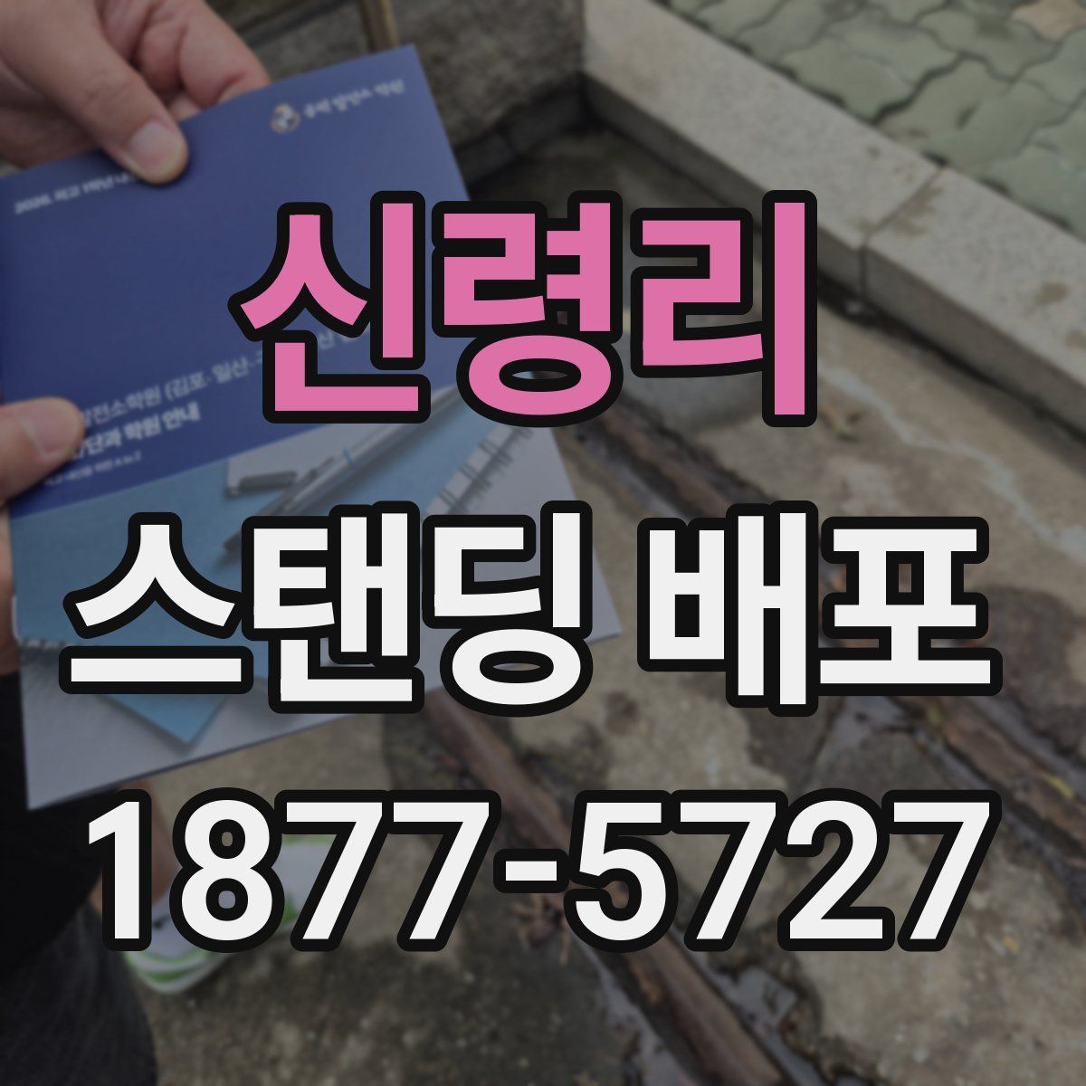 신령리 스탠딩 배포