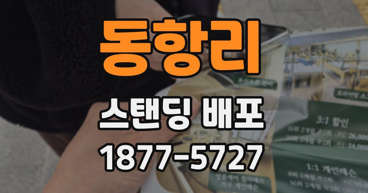 동항리 스탠딩 배포