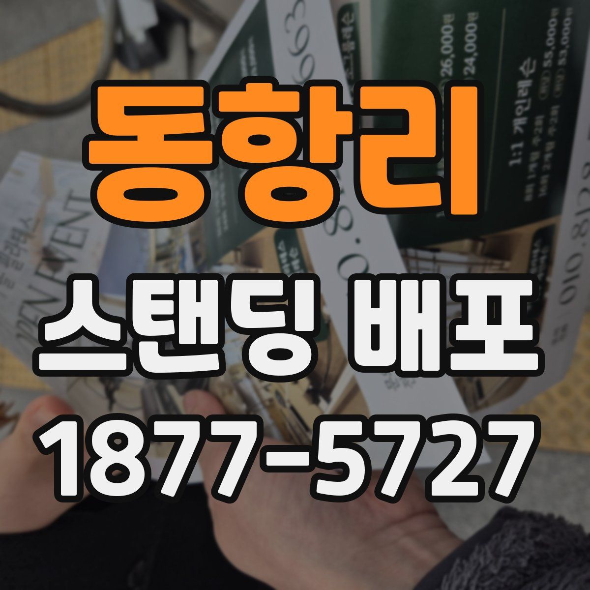 동항리 스탠딩 배포