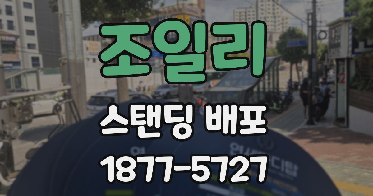 조일리 스탠딩 배포