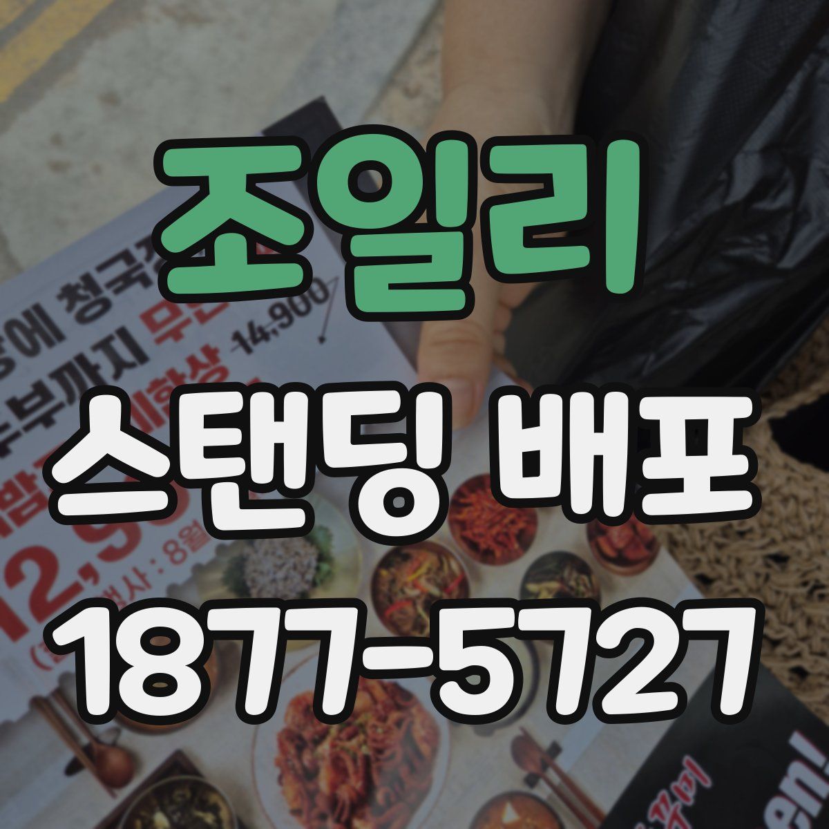 조일리 스탠딩 배포