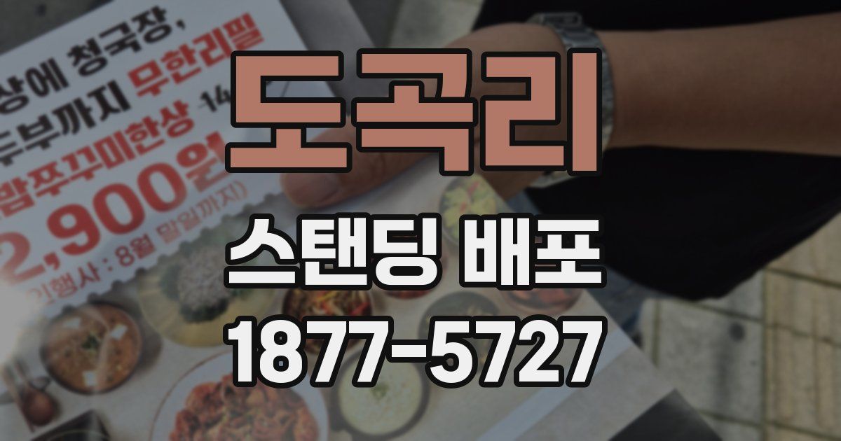 도곡리 스탠딩 배포