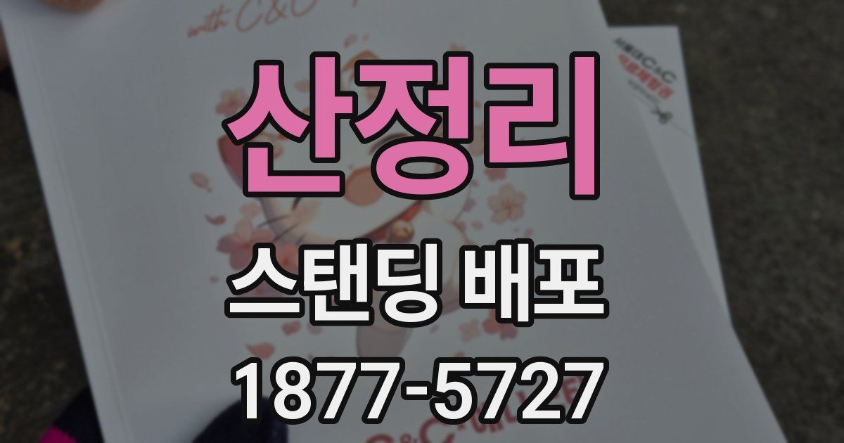 산정리 스탠딩 배포