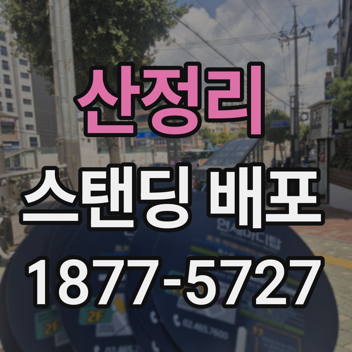 산정리 스탠딩 배포