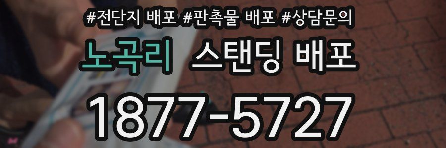 노곡리 스탠딩 배포