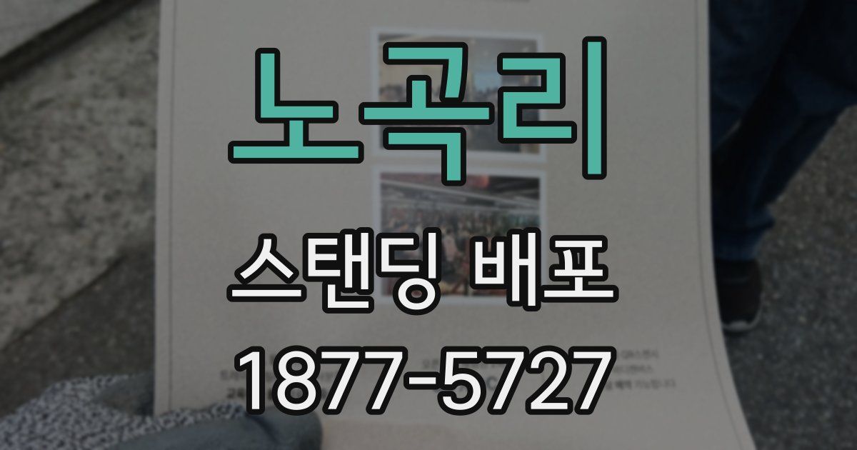 노곡리 스탠딩 배포