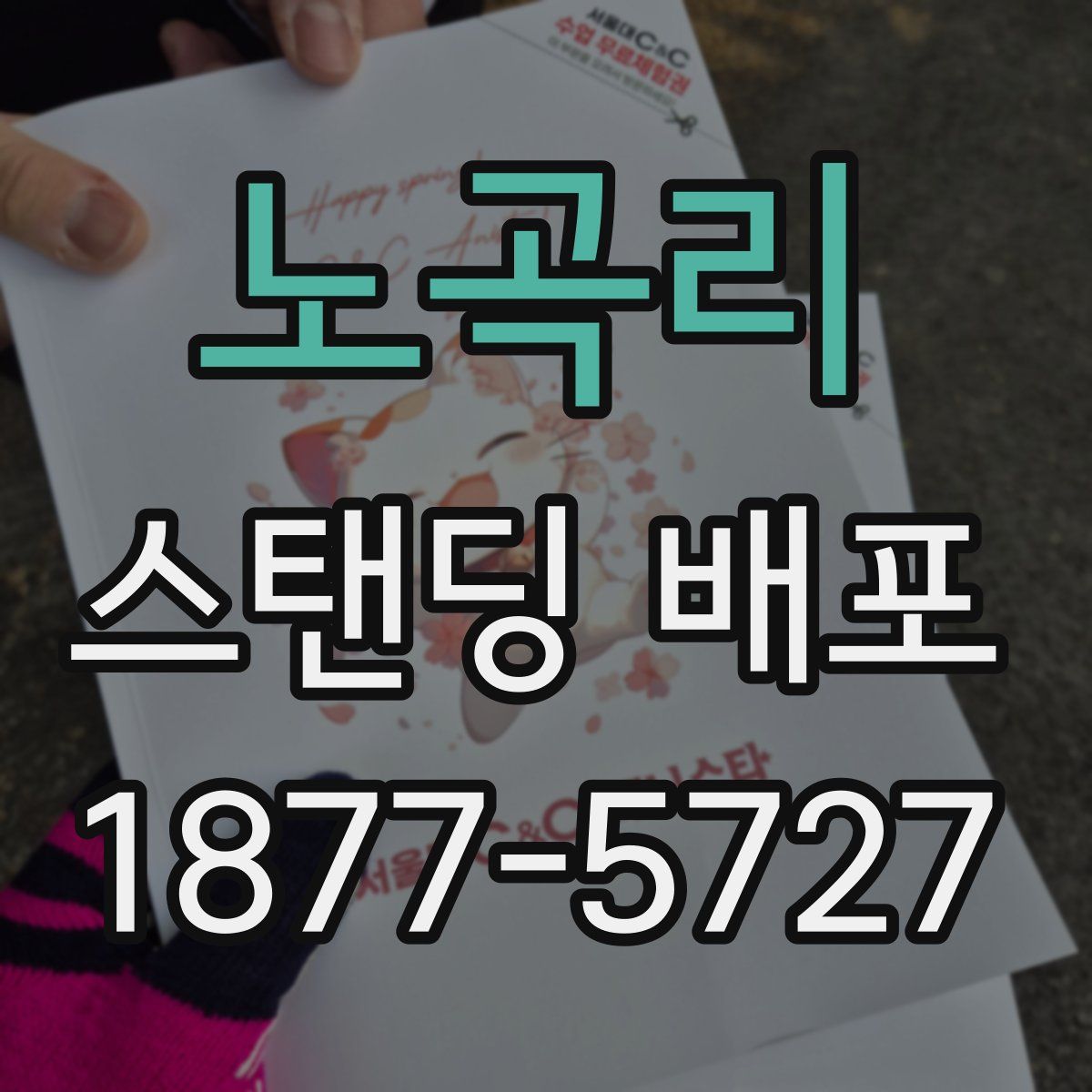 노곡리 스탠딩 배포