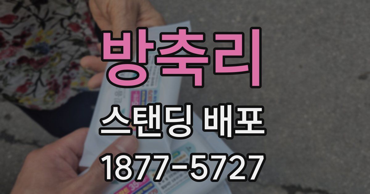방축리 스탠딩 배포