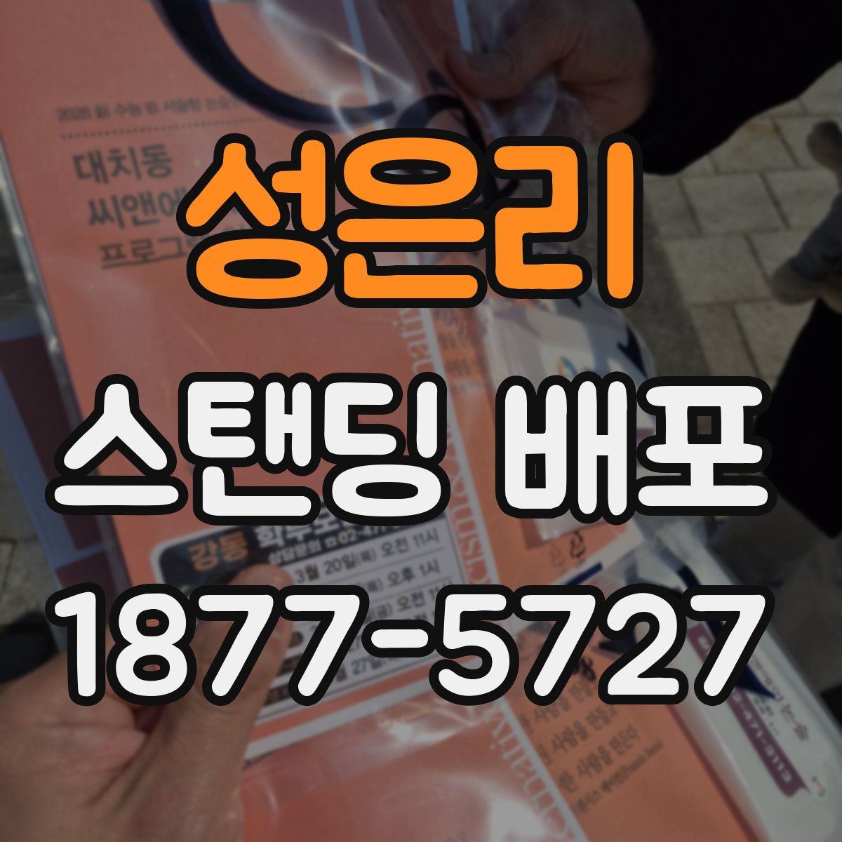 성은리 스탠딩 배포