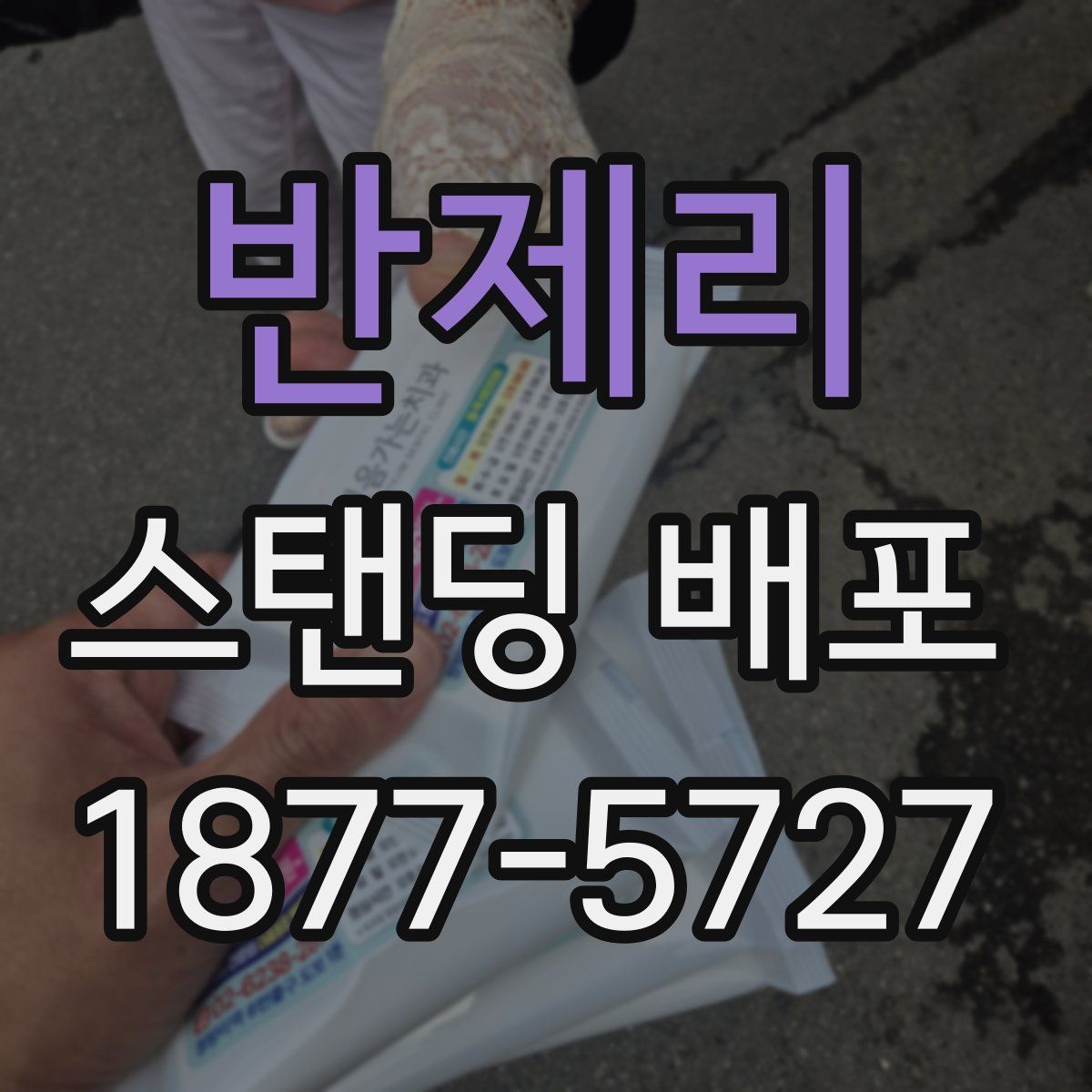 반제리 스탠딩 배포