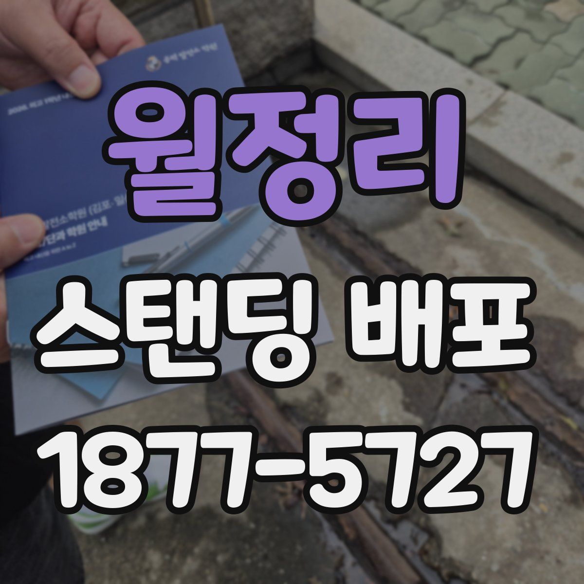월정리 스탠딩 배포
